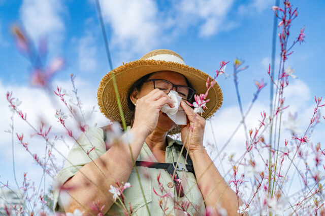 How climate change makes your allergies worse