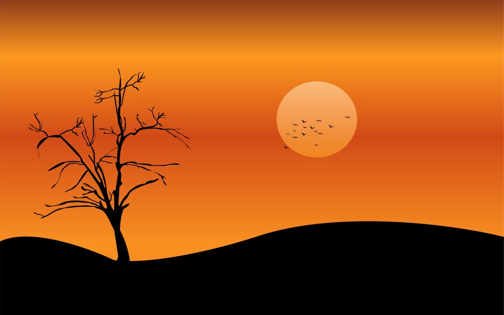 Silhouette of a bare tree and a flock of birds flying across an orange sunset horizon, symbolizing digital autonomy and enterprise adaptability.