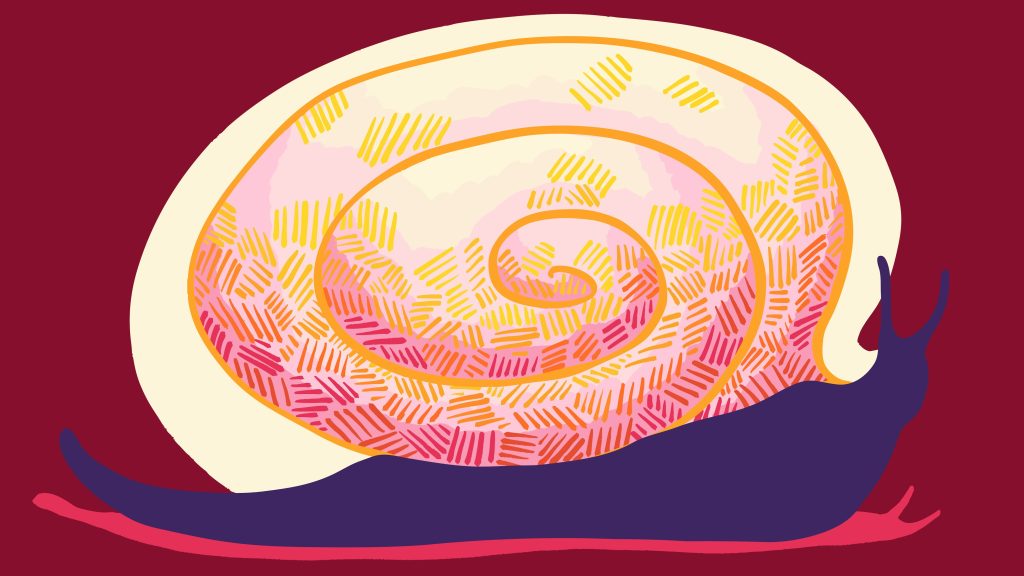 Artistic illustration of a snail with a vibrant, multi-colored spiral shell, serving as a visual metaphor for the feedback loops and infrastructure layers in the AI Codebase Maturity Model for KubeStellar.