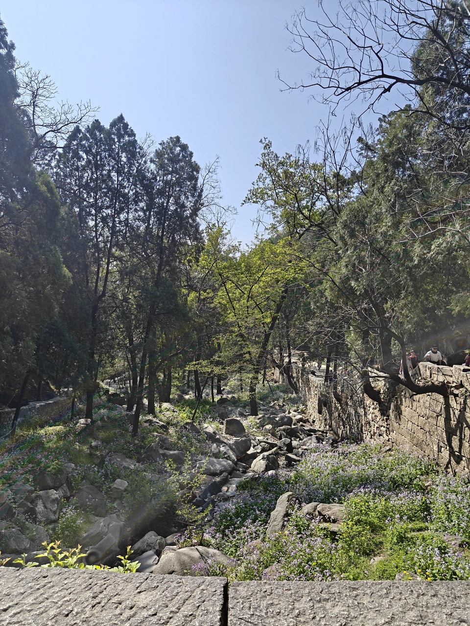 [旅行] 爬泰山