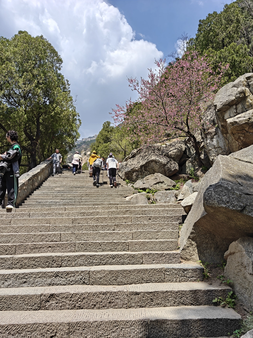 [旅行] 爬泰山