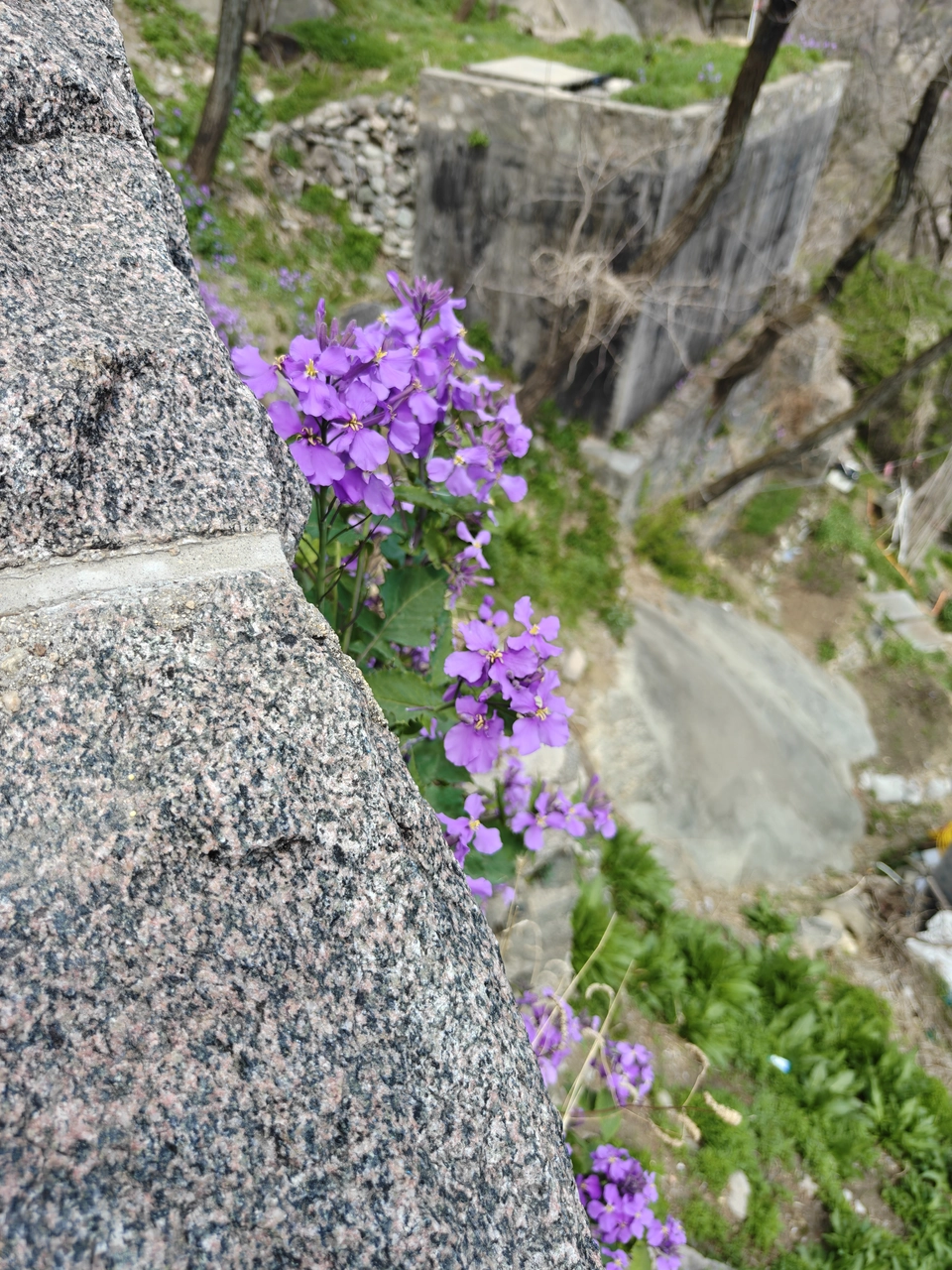 [旅行] 爬泰山