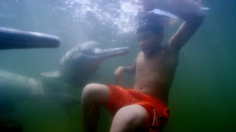 Watch river dolphins play with kids