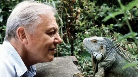 Sir David Attenborough leans over a rock face to face with an iguana.