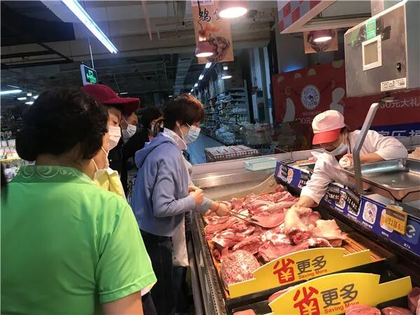 海南“猪王”，困在岛上