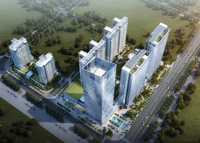 海南“猪王”，困在岛上