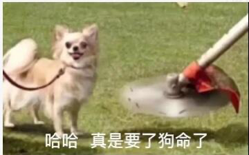 10小时测完DeepSeek-V4！北大团队终结工程师噩梦？深扒大模型评测的“千亿生意”