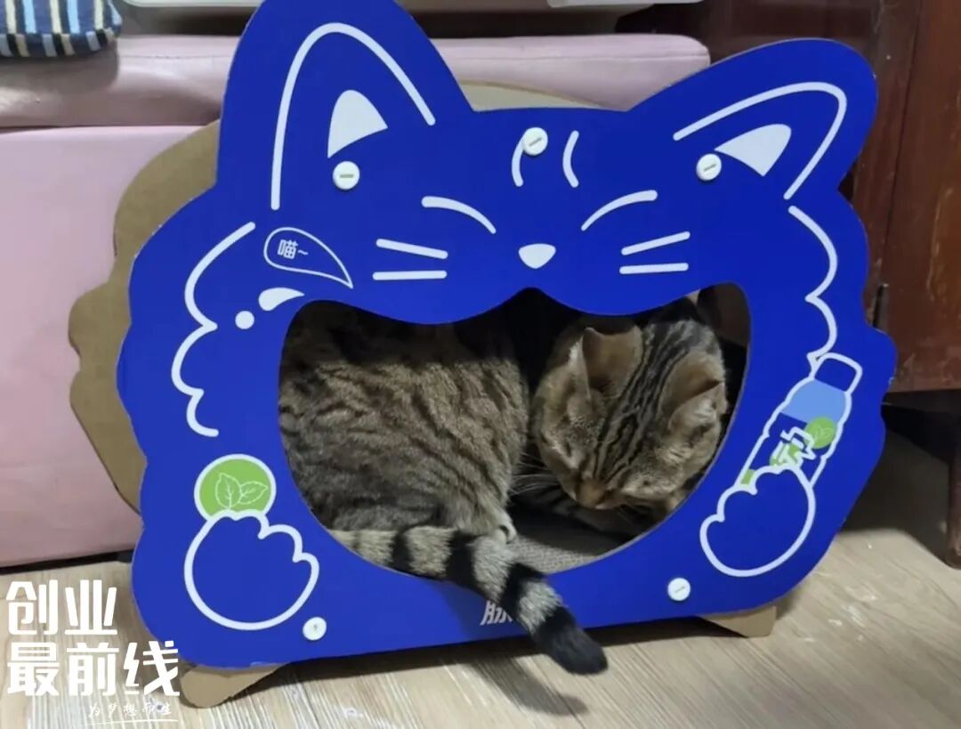 脉动靠猫窝讨好“铲屎官”，巨头跨界背后的定位迷途