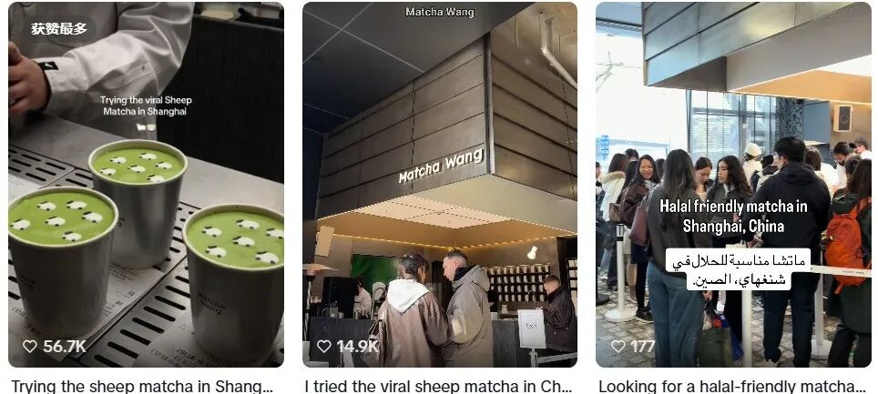 抹茶火遍餐饮圈，中国产区却只赚个辛苦钱？