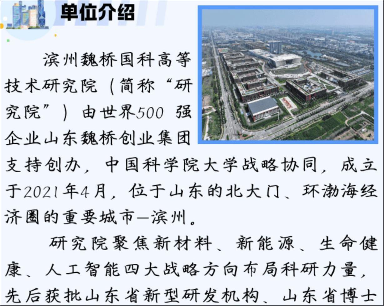 “魏桥系”2.32亿订单点燃股价，金螳螂概念迷雾下的狂欢与阵痛