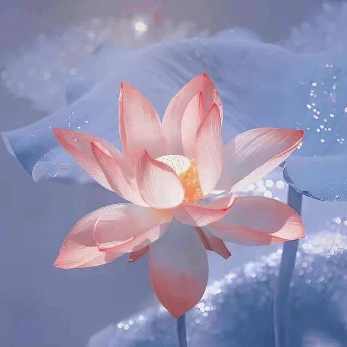 嘶吼安全动态|八部门联合发布《 科技数据安全管理暂行规定》，4月10日起实施 黑客利用像素级SVG技巧隐藏信用卡窃密代码