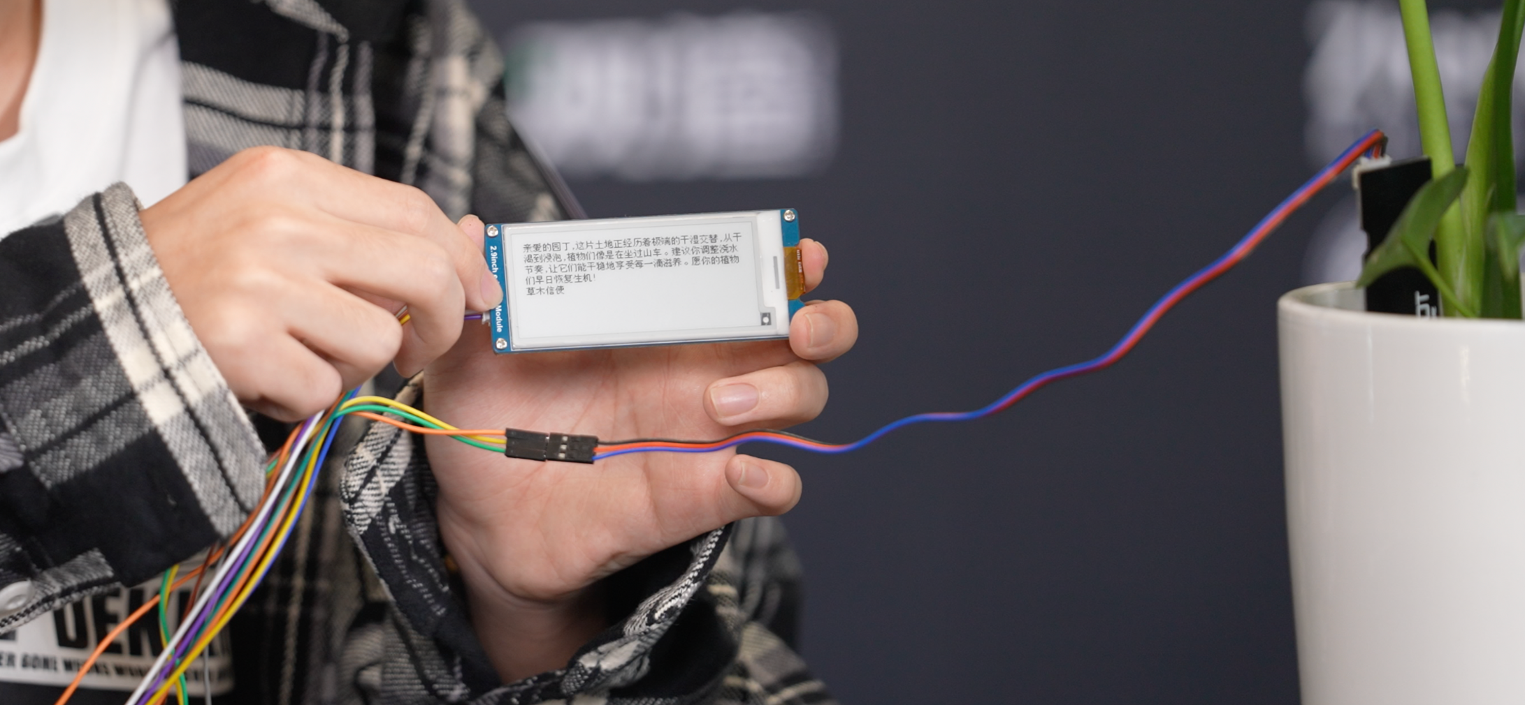 这届年轻人用 AI 造的「新物种」：活过来的画框、会叹气的台灯、会写信的龟背竹……