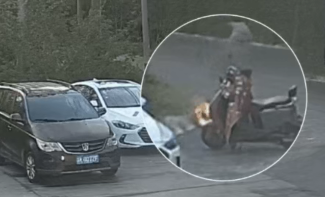 一男子手欠点燃柳絮：火势迅间失控引燃路边轿车 已被依法处理