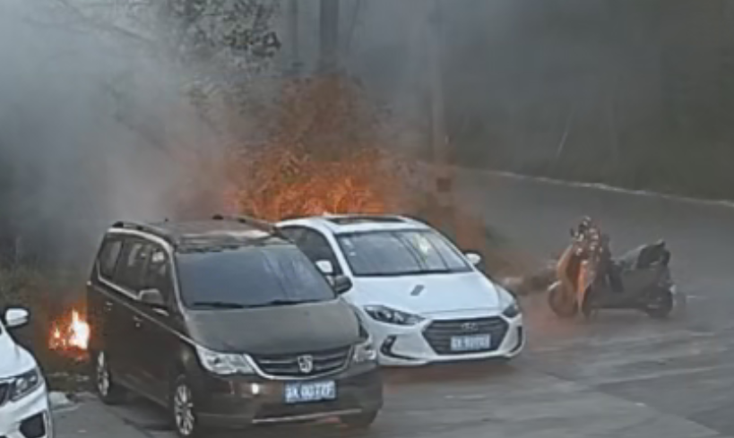 一男子手欠点燃柳絮：火势迅间失控引燃路边轿车 已被依法处理