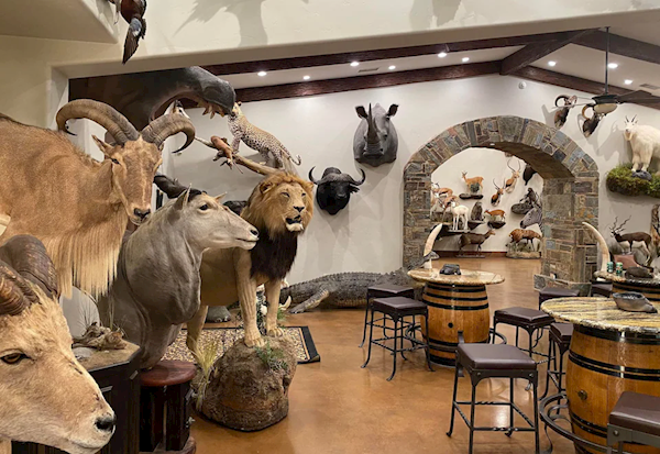 美国富豪非洲狩猎时遭象群踩死 只剩一团残肢断骸