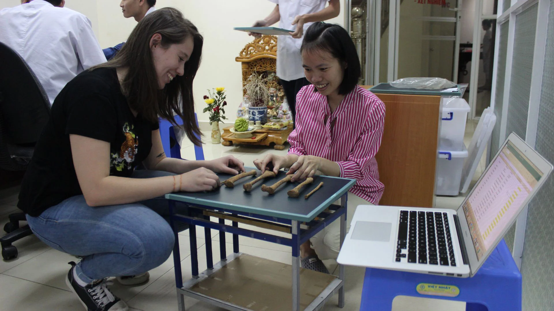 越南史前骨骼研究挑战梅毒起源的关键判断