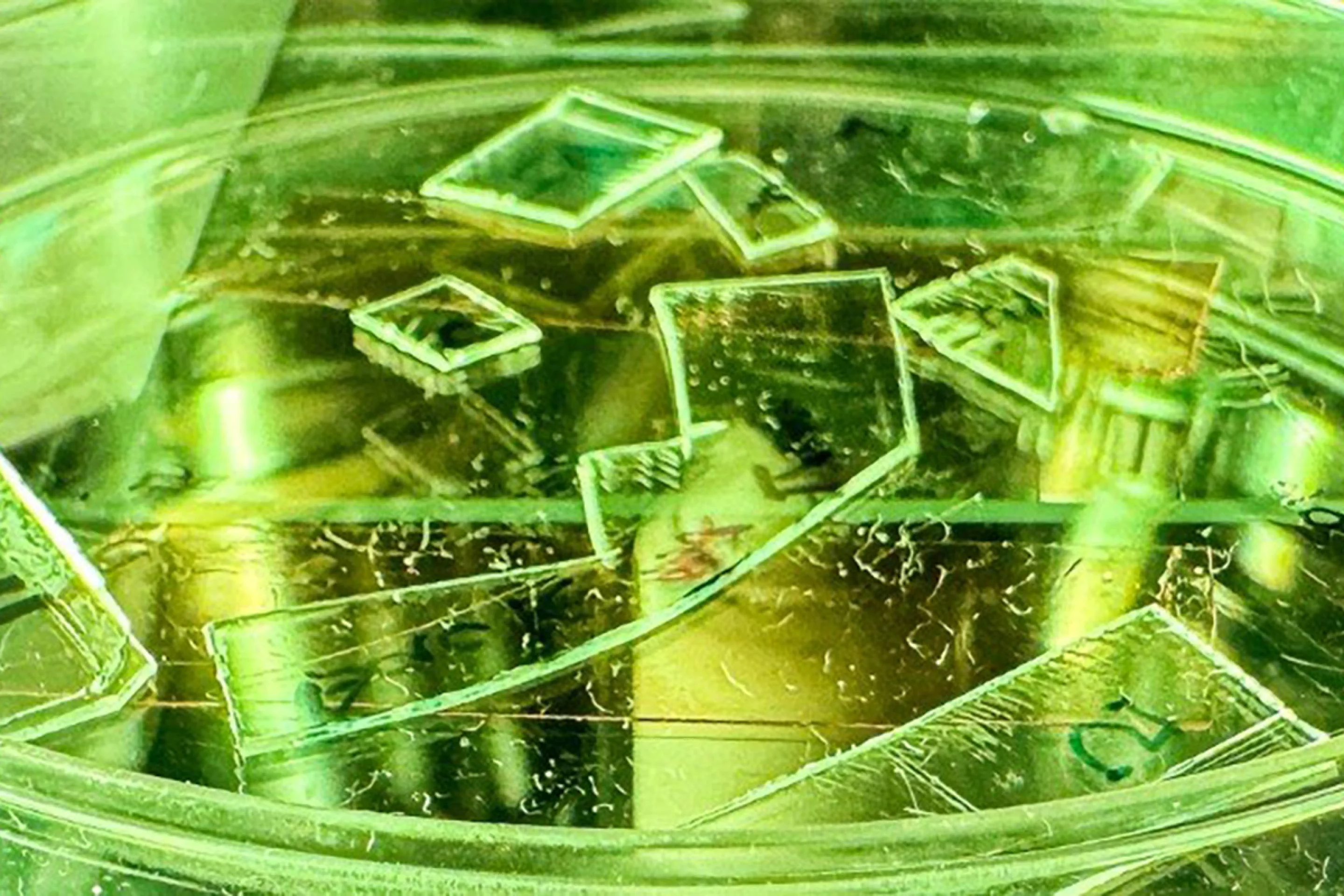 澳研究团队开发“纳米尖刺”抗病毒涂层 让高频接触表面实现“接触即灭活”