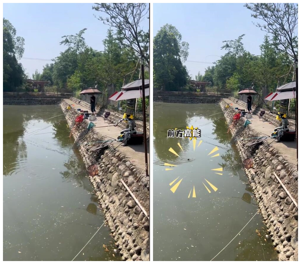 起猛了 网友看到机器人钓上鱼了