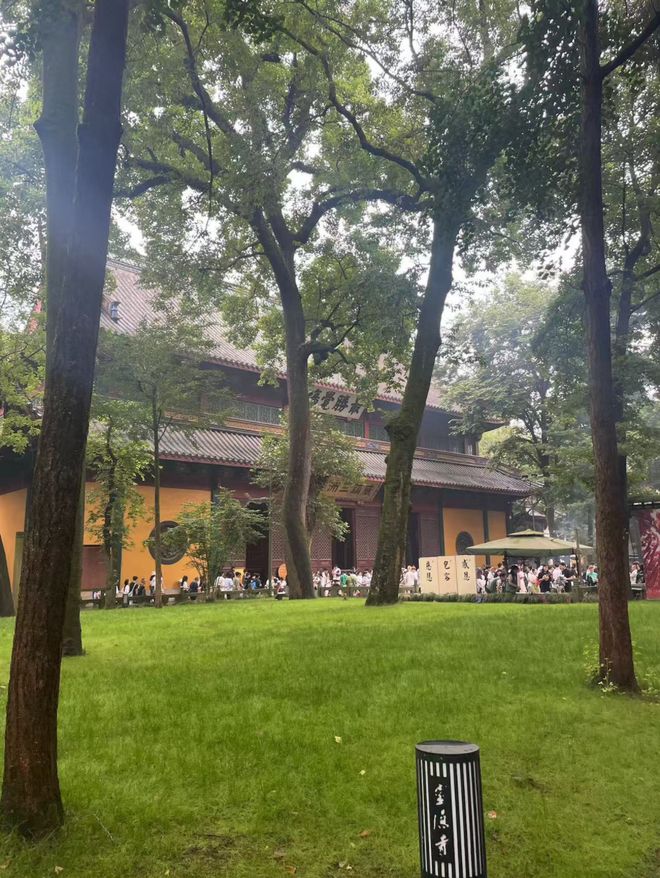 DeepSeek终于能看图了 我第一时间用它算命