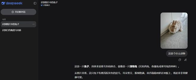 DeepSeek终于能看图了 我第一时间用它算命