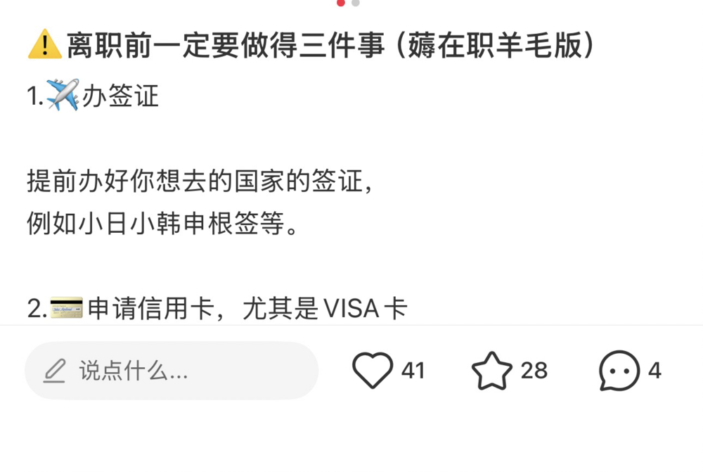 怒办签证是这个时代打工人离职前的最后一舞