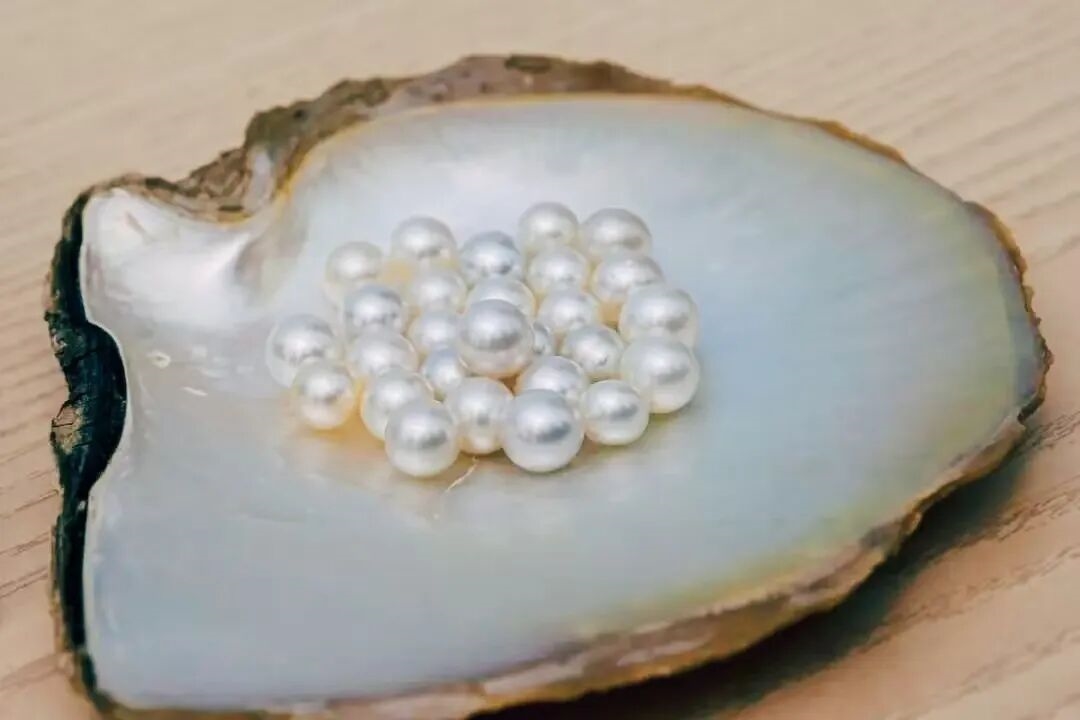 核电站搞出新副业 竟然是产珍珠