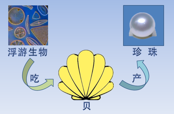 核电站搞出新副业 竟然是产珍珠