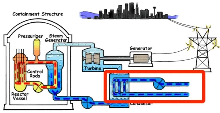 核电站搞出新副业 竟然是产珍珠