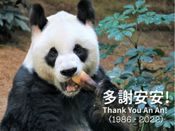 这些动物寿命都比人类长 乌龟都比不了