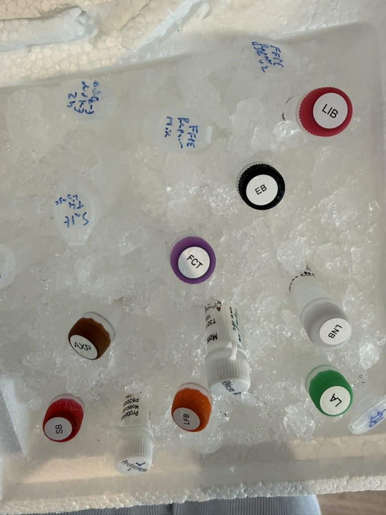生物圈震撼：00后小哥在客厅完成基因组测序 27亿美金壁垒塌了